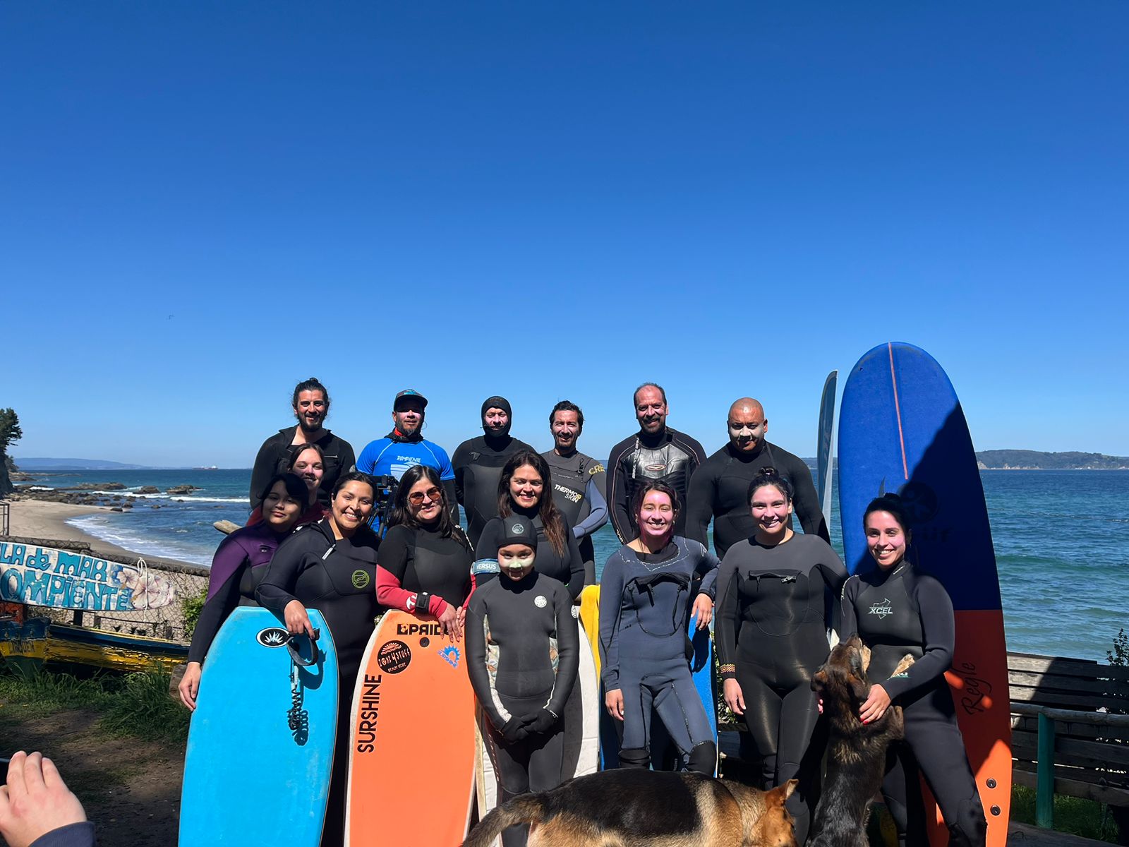 Surf foto